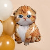Фольгированный шар Рыжий котенок 86 см