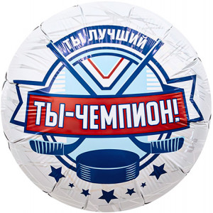 Хоккей "Ты Чемпион" / круг / 46 см / AG